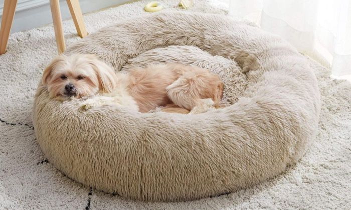 5 Best Anti-Anxiety Dog Beds UK Anti-anxiety luxury pet bed